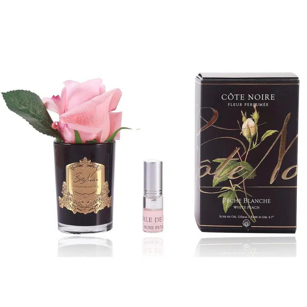Cote Noire Perfumed White Peach Rose Bud with Black Glass GMRB45-Candles2go