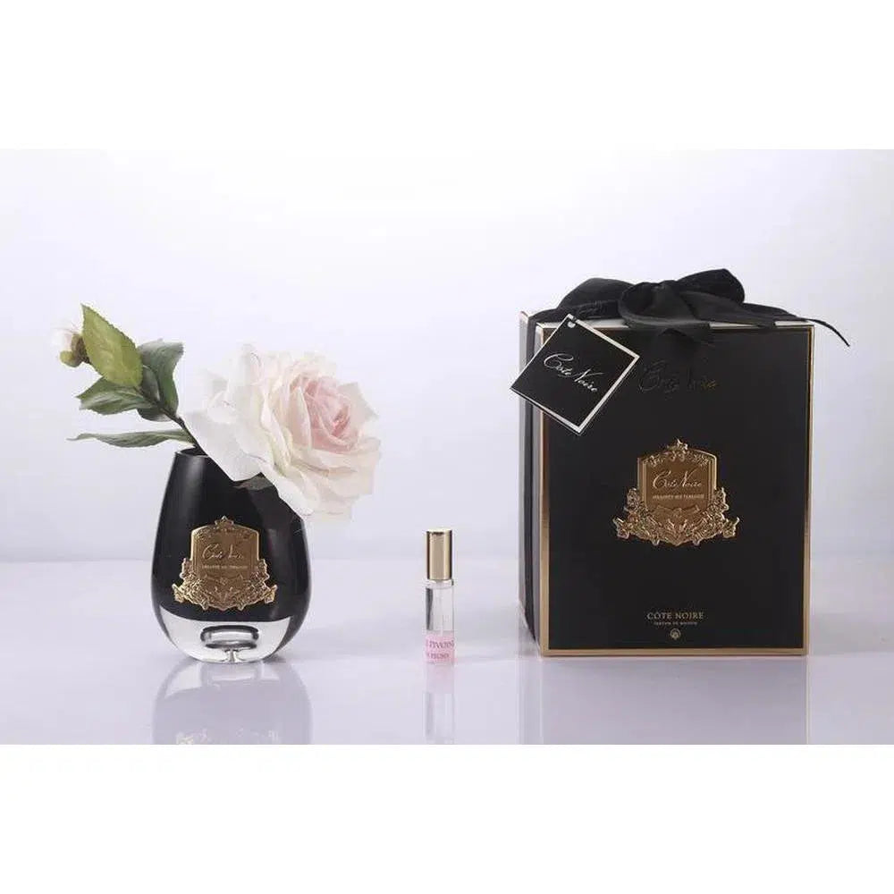 COTE NOIRE TEAR DROP TEA ROSE CLEAR CLASS - IVORY WHITE main image 0