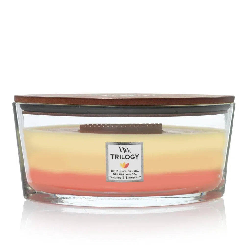 Hearthwick Woodwick Candles 453g Candle Tropical Sunrise Trilogy-Candles2go