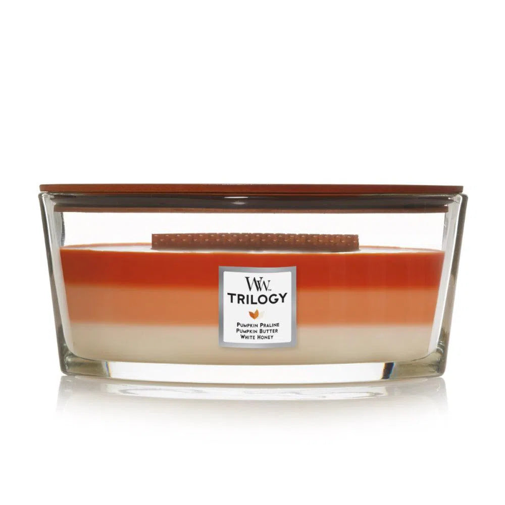 Pumpkin Gourmand Trilogy Ellipse Candle by Woodwick-Candles2go