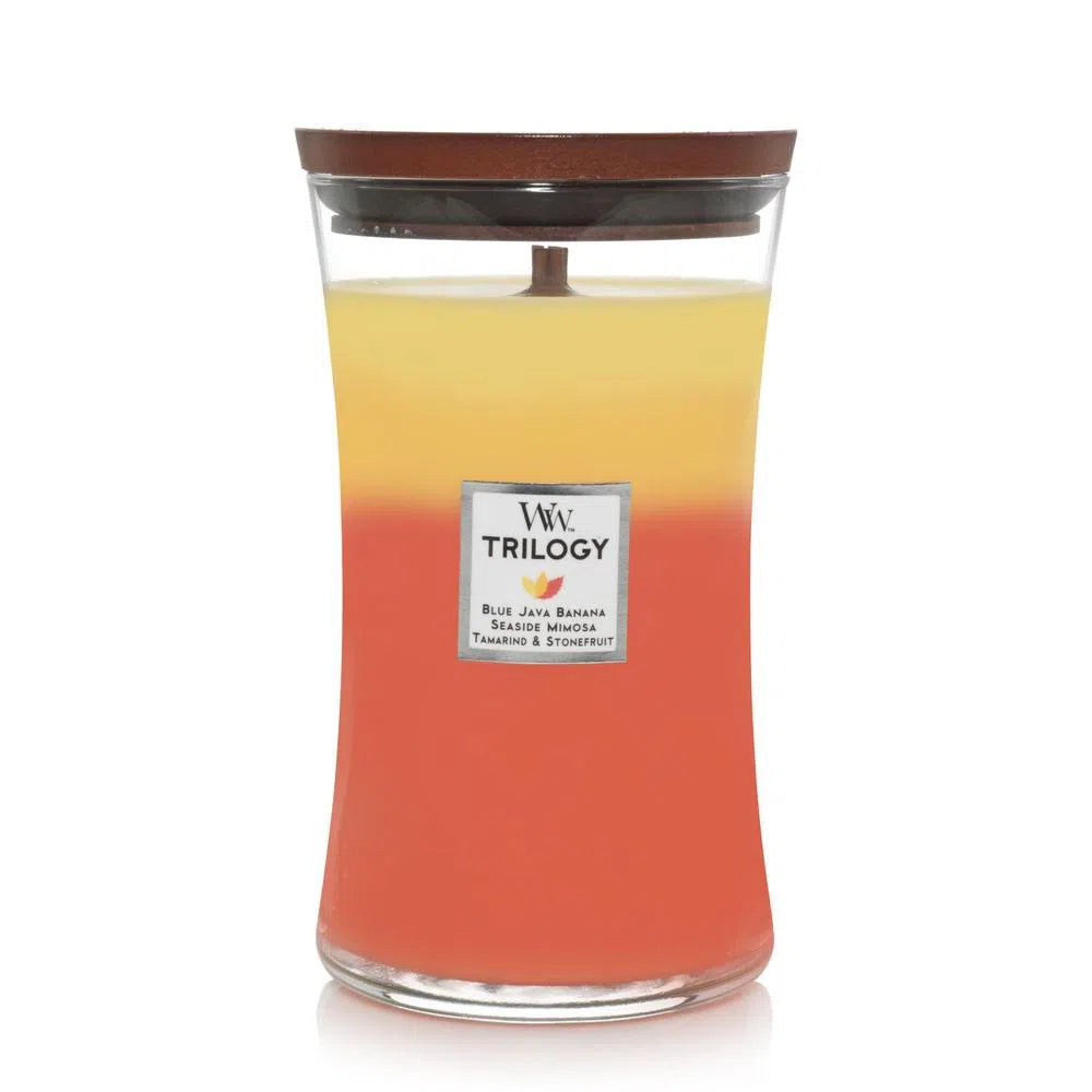 Trilogy Candle by Woodwick Candles 609g Tropical Sunrise-Candles2go