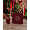 Christmas Limited Edition Peppermint Grove Champagne & Red Raspberries Spinning Carousel Gift Set 2025