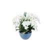 Cote Noire Luxury Giant Ceramic Vase White Orchids GO01