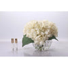 Cote Noire Perfumed Flowers in Luxury Hydrangea Champagne LHY02