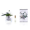 Cote Noire Perfumed Natural Touch Double Gardenias Clear Gmg02