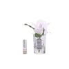 Cote Noire Perfumed Rose Bud Clear French Pink Gmr46