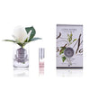 Cote Noire Perfumed Rose Bud Clear Ivory White Gmr41