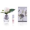 Cote Noire Perfumed Rose Bud Clear Pink Blush Gmr42