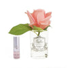 Cote Noire Perfumed Rose Bud Clear White Peach Gmr45