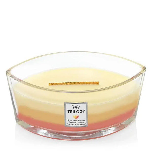 Ellipse Tropical Sunrise Trilogy 453g Woodwick Candles-Candles2go