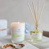 Jasmine & Lime Mini Candle and Diffuser Set by Palm Beach