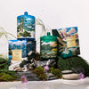 Limited Edition Breathtaking Banff 380g Candle by Glasshouse Fragrance - Northern Peaks Collection