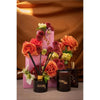 Midnight Rose 100ml Diffuser by Studio Sol
