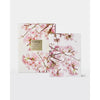 Mother's Day Limited Edition Cotton Flower & Freesia Scented Draw Liners by Circa 2026