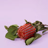 Native Bush Flower 500ml Premium Raw Fragrance by Candles2go