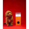 PRE-ORDER Christmas Limited Edition Ecoya Neroli & Chamomile Dog Grooming Set 2025