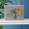 Park Avenue 500TC Bamboo Cotton Sheet Split Queen Charcoal