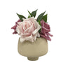 Planter Pot Ceramic in Beige Australian Native Collection By Bramble Bay Co