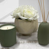 Planter Pot Ceramic in Beige Australian Native Collection By Bramble Bay Co