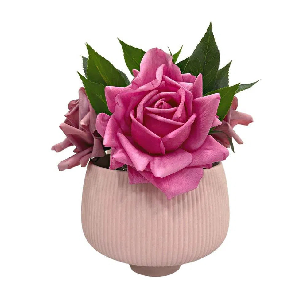 Planter Pot Ceramic in Pink Australian Native Collection Clearance-Candles2go