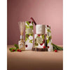 Pre-Order Only - Christmas Limited Edition Circa Raspberry & Rhubarb Replacement Scent Stems 2025
