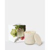 Pre-Order Only - Christmas Limited Edition Circa White Fig & Cedar 300g Candle 2025