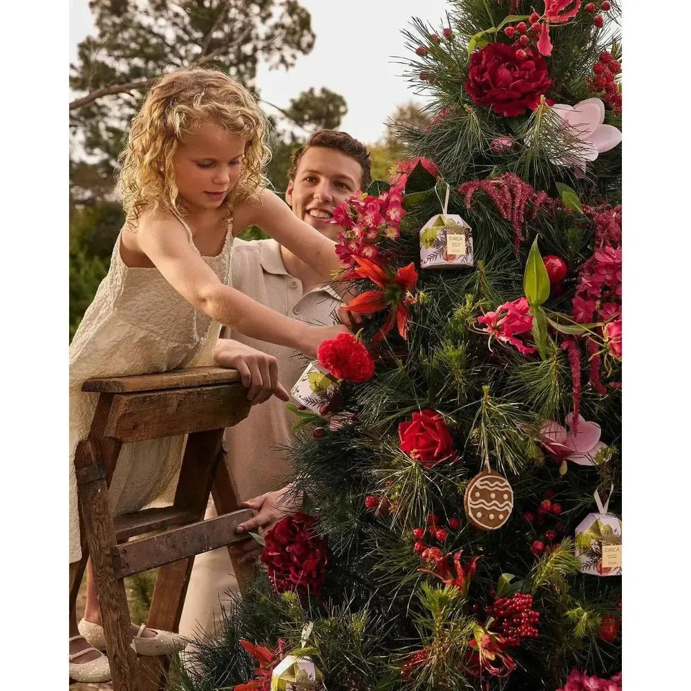 Pre-Order Only - Christmas Limited Edition Circa White Fig & Cedar 70g Bauble Candle 2025-Candles2go