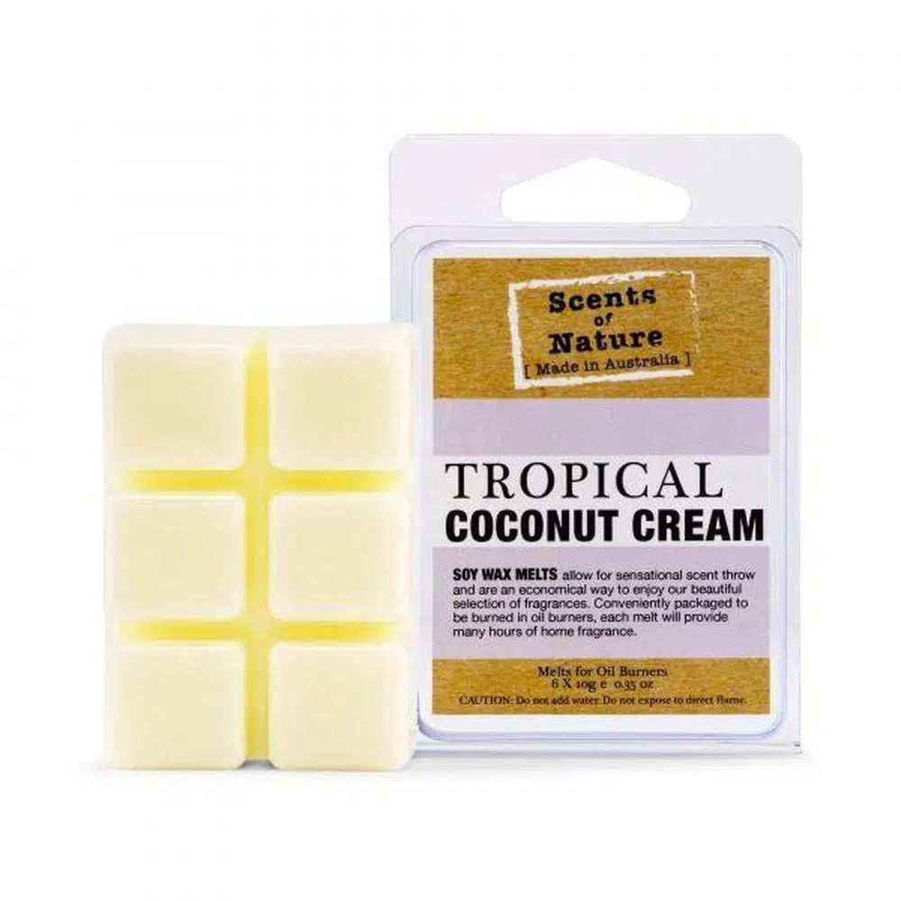 Soy Melts 60g by TIlley Australia SoN Coconut Cream-Candles2go