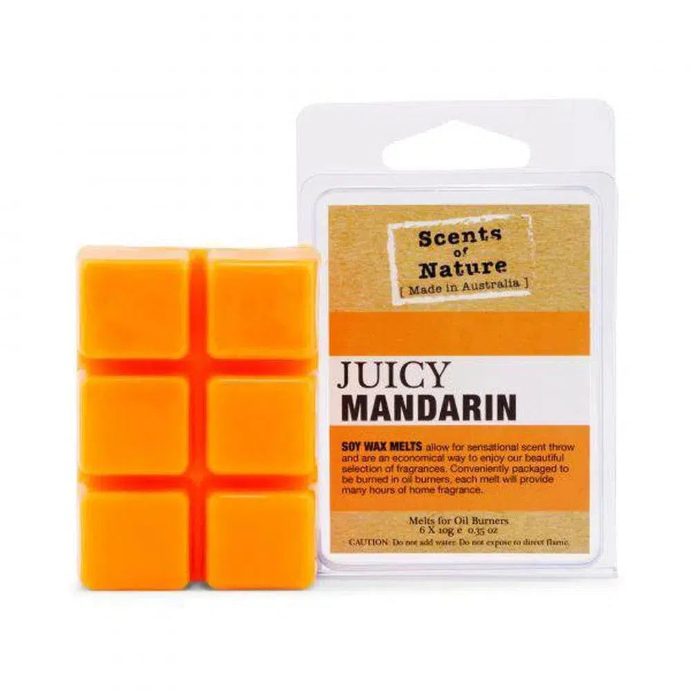 Soy Melts 60g by TIlley Australia SoN Juicy Mandarin-Candles2go