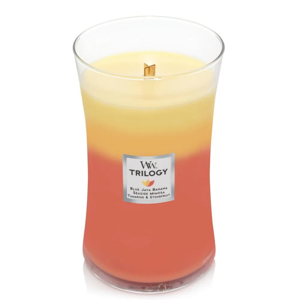 Trilogy Candle by Woodwick Candles 609g Tropical Sunrise-Candles2go