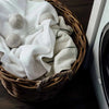 Wild Sage & Citrus Laundry Dryer Ball Set By Ecoya