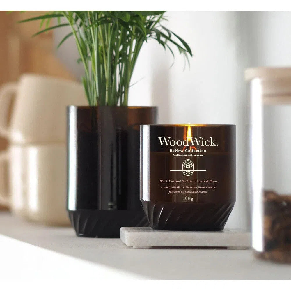 WoodWick Renew Black Currant & Rose Limited Edition-Candles2go