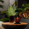 WoodWick Renew Lavender & Cypress Limited Edition